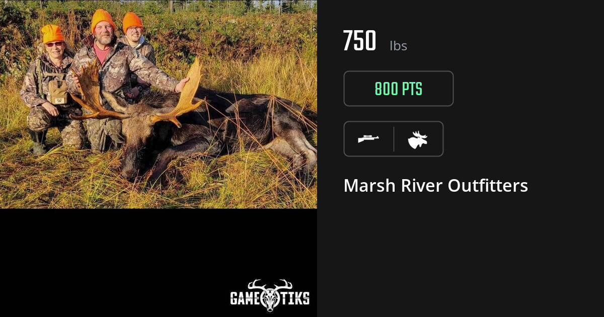 Moose harvest on Gametiks