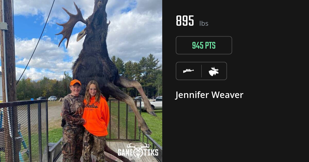 moose harvest by Jennifer Weaver