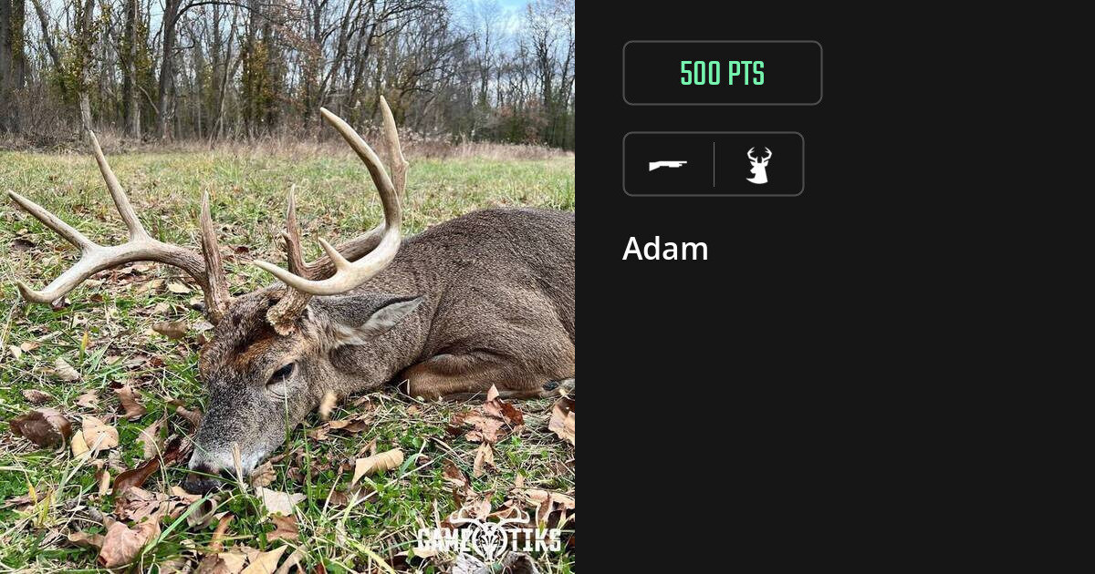deer harvest by Adam