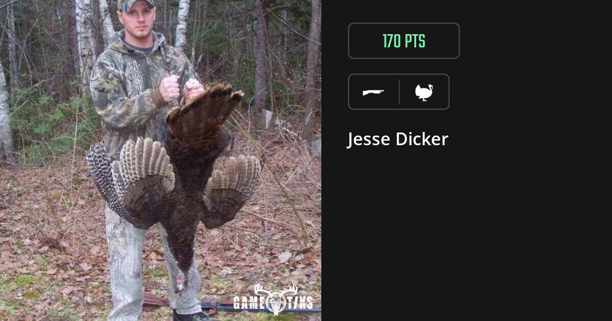 turkey harvest by Jesse Dicker