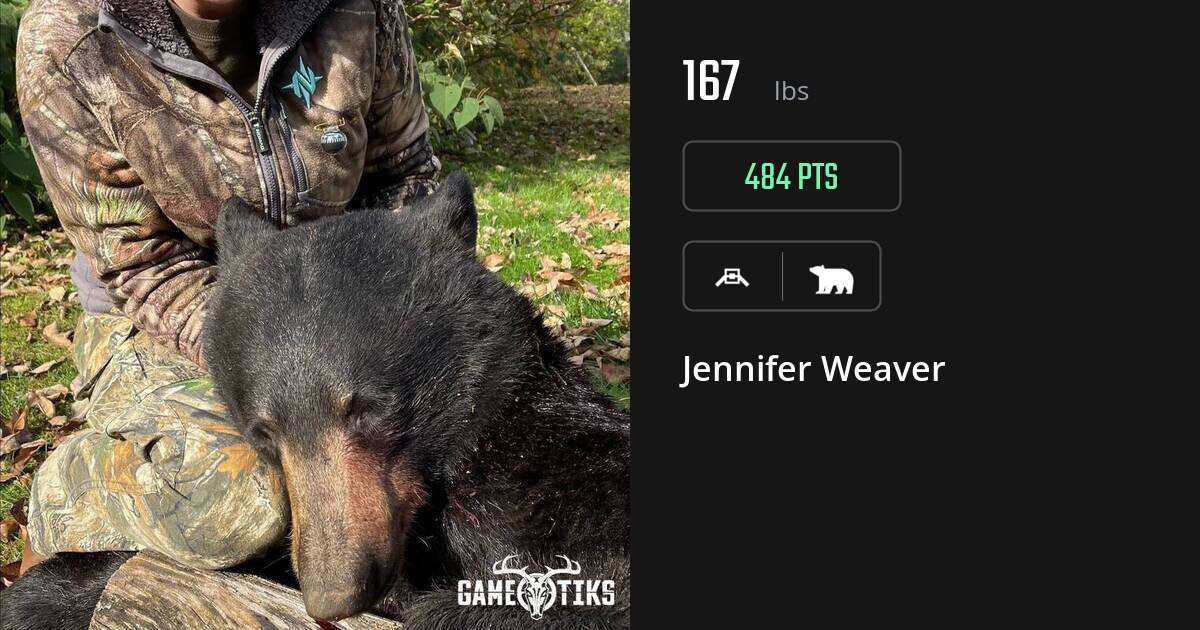 bear harvest by Jennifer Weaver