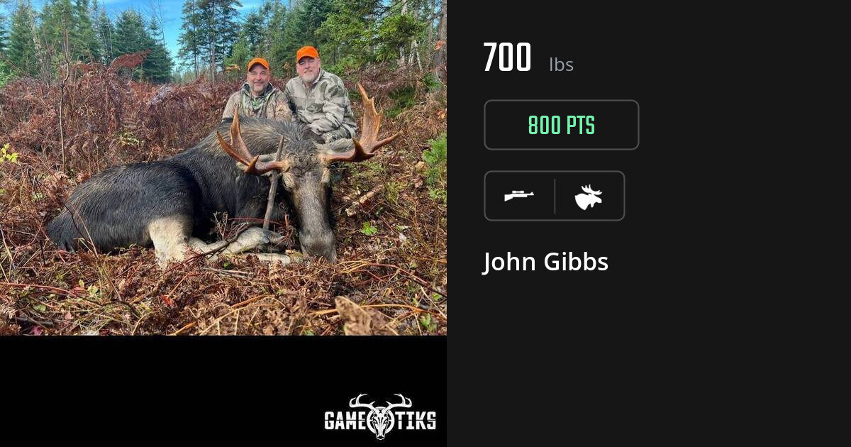Moose harvest on Gametiks