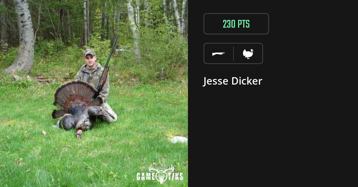 turkey harvest by Jesse Dicker