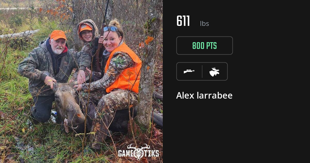 Moose harvest on Gametiks
