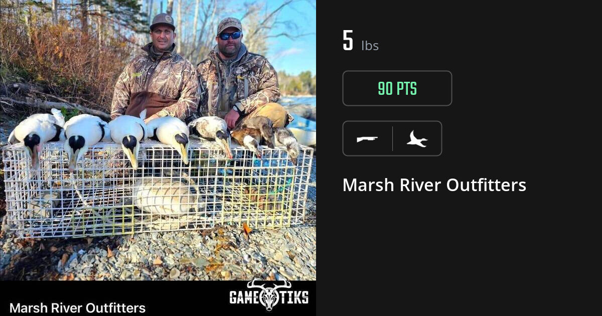 Waterfowl harvest on Gametiks