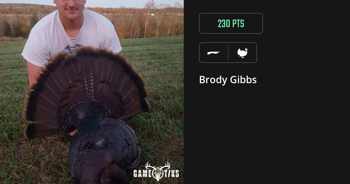 Turkey harvest on Gametiks