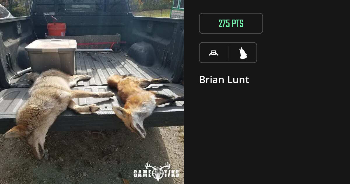 canine harvest by Brian Lunt