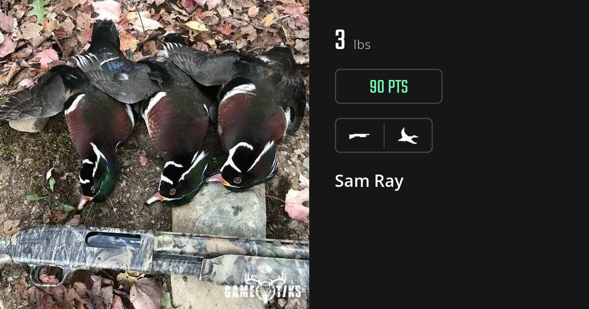 Waterfowl harvest on Gametiks
