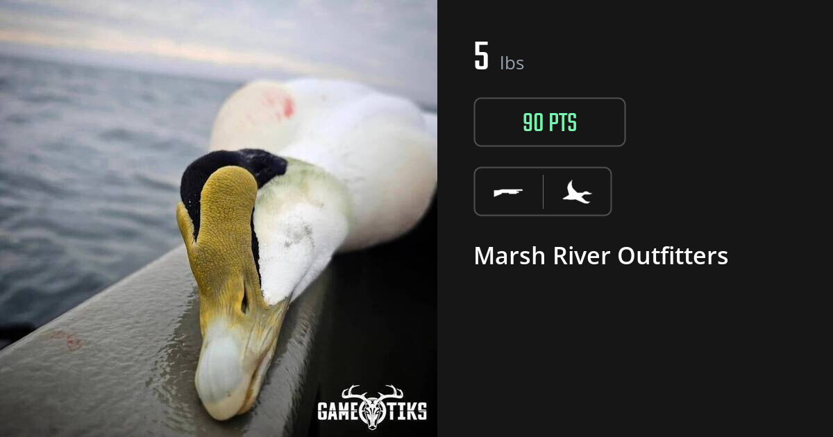 Waterfowl harvest on Gametiks