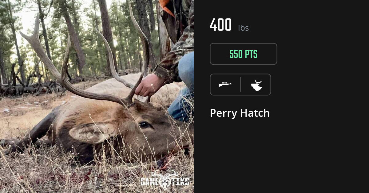 elk harvest by Perry Hatch