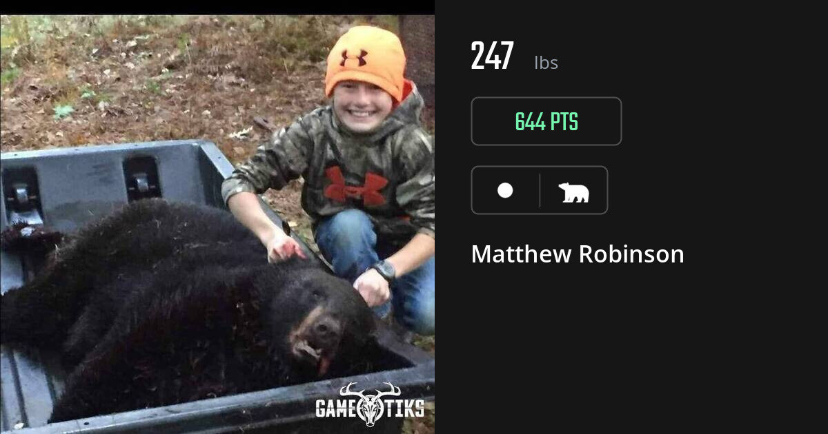 bear harvest by Matthew Robinson
