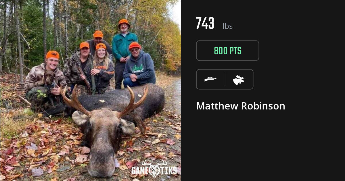 moose harvest by Matthew Robinson
