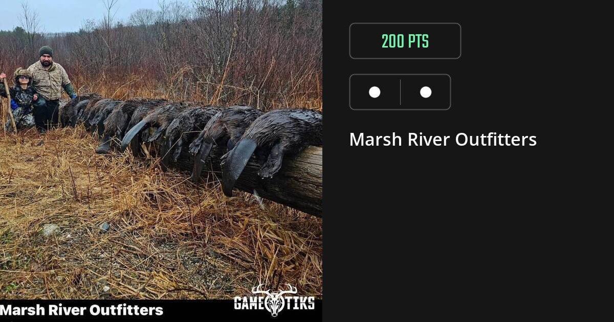 Miscellaneous harvest on Gametiks