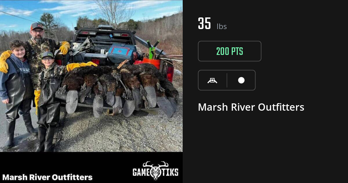 Miscellaneous harvest on Gametiks