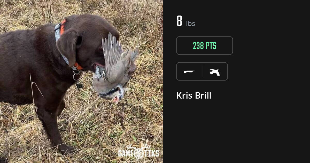 Upland bird harvest on Gametiks