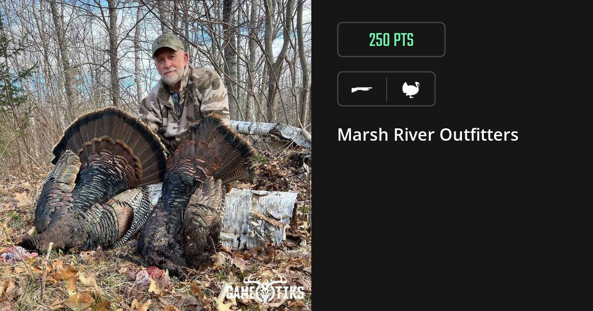 turkey harvest by Marsh River Outfitters