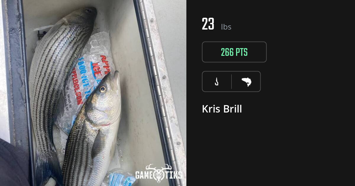 Saltwater fish harvest on Gametiks