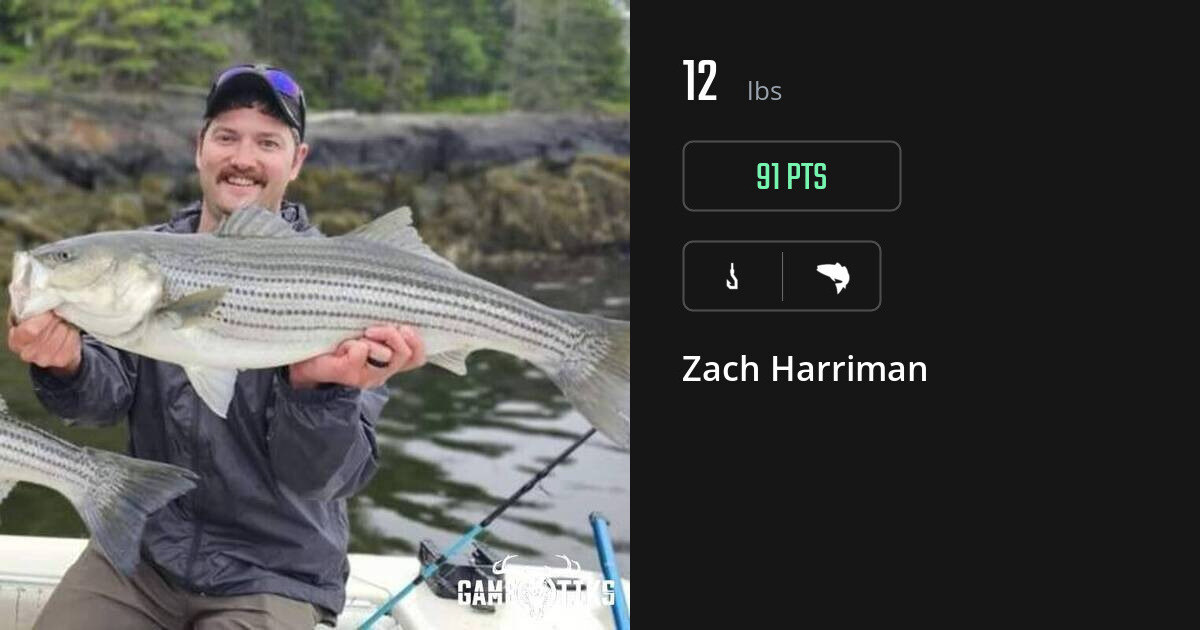 Saltwater fish harvest on Gametiks