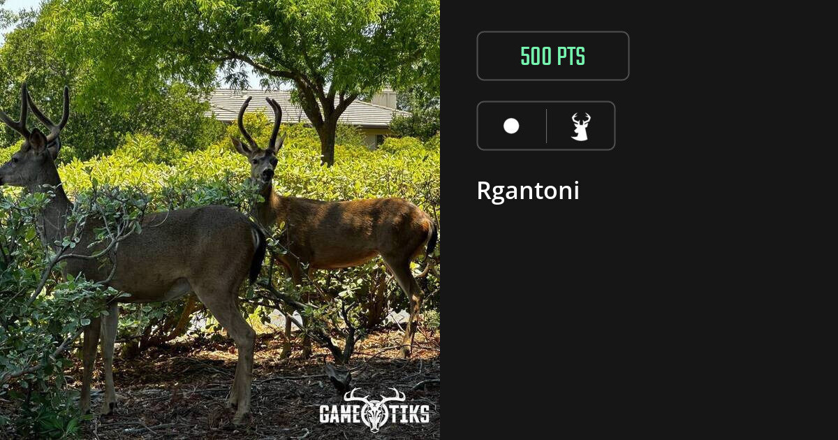 Deer harvest on Gametiks