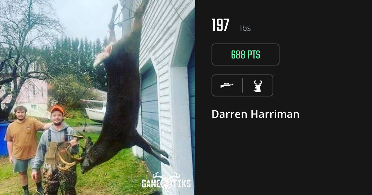 deer harvest by Darren Harriman