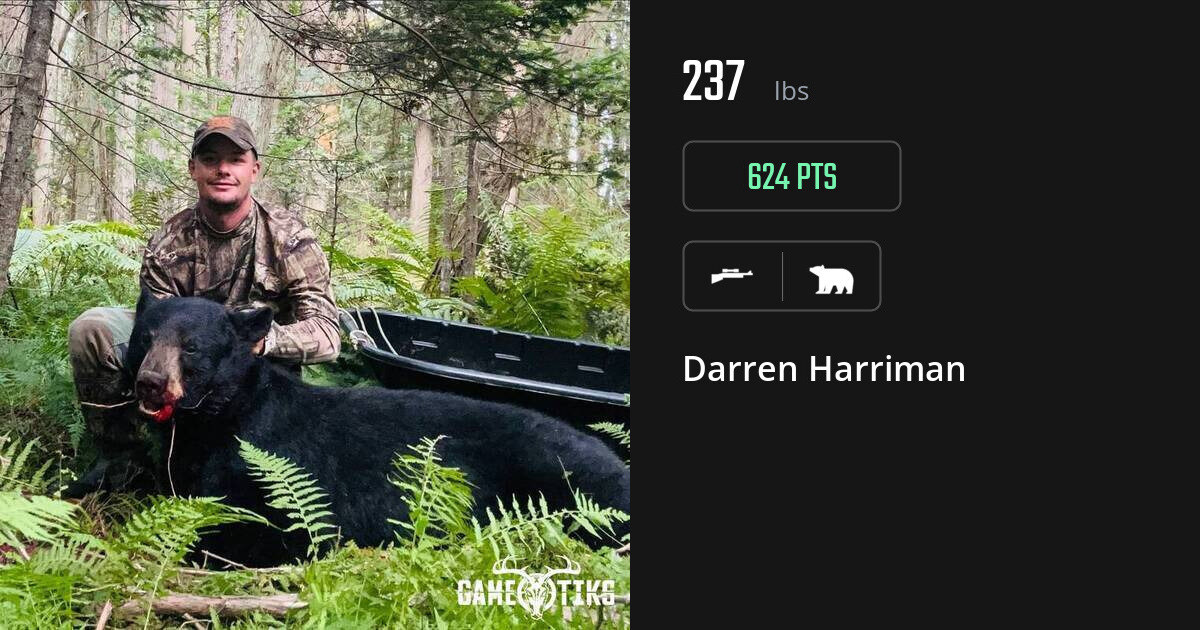 bear harvest by Darren Harriman