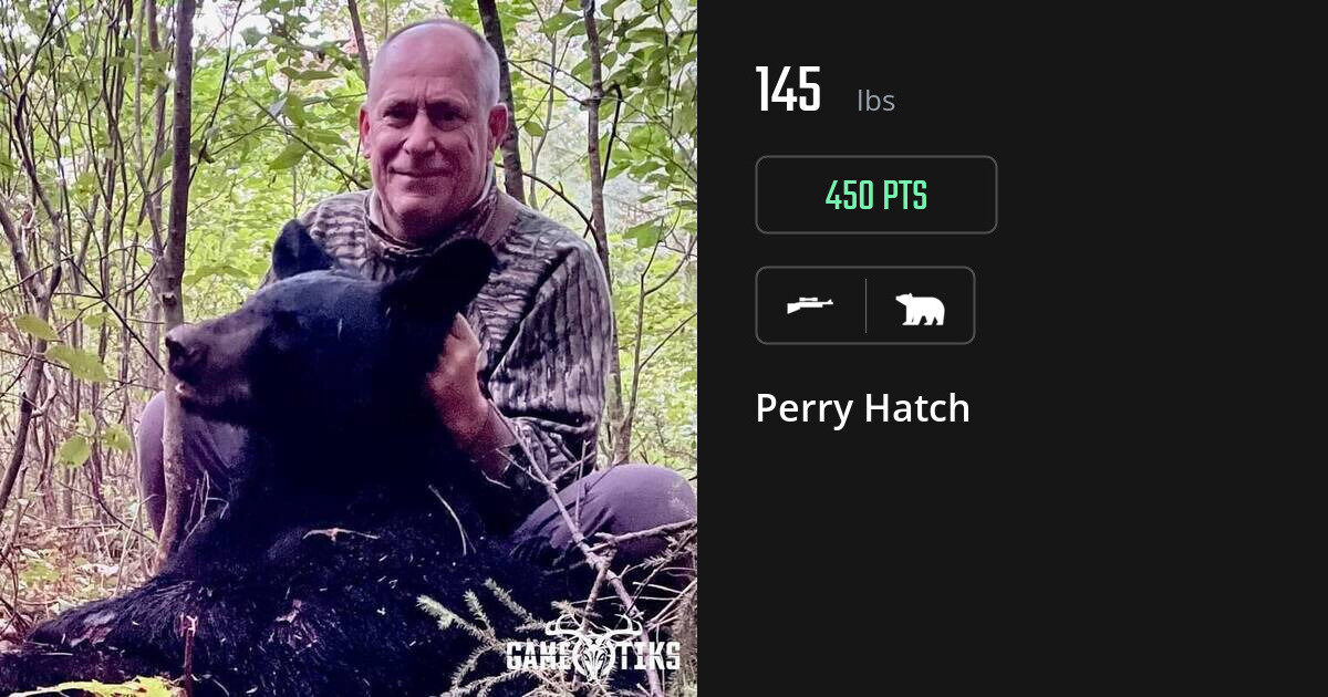 bear harvest by Perry Hatch