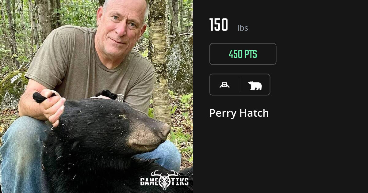 bear harvest by Perry Hatch