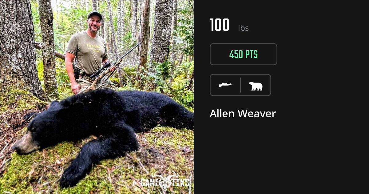 bear harvest by Allen Weaver