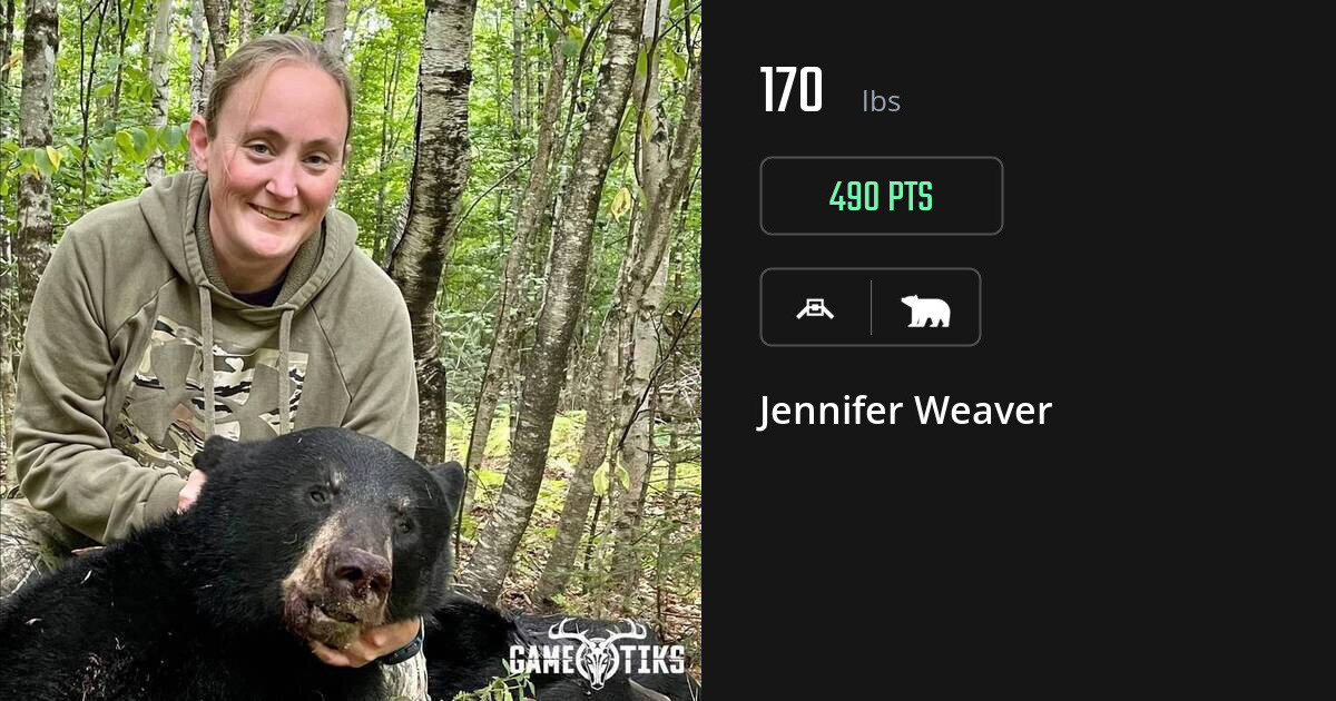 bear harvest by Jennifer Weaver