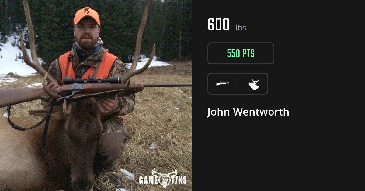 elk harvest by John Wentworth