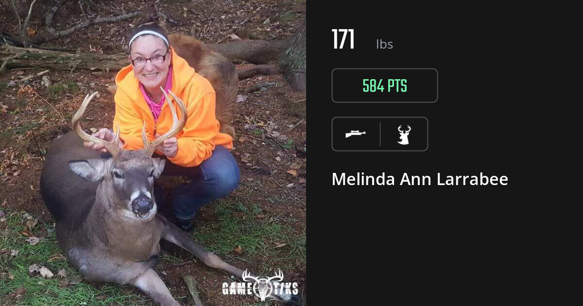 deer harvest by Melinda Ann Larrabee