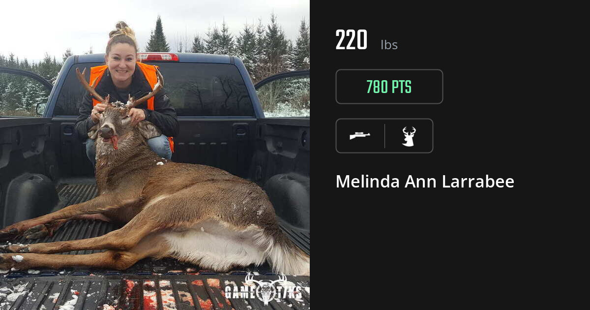 Deer harvest on Gametiks