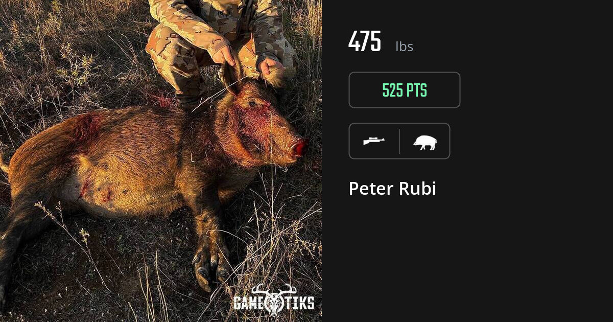 boar harvest by Peter Rubi