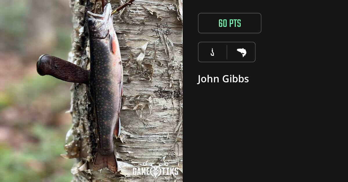 saltwater_fish harvest by John Gibbs