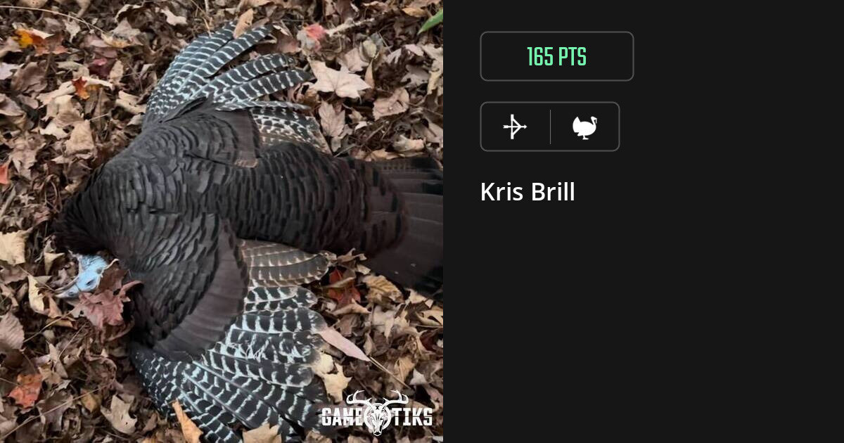 Turkey harvest on Gametiks