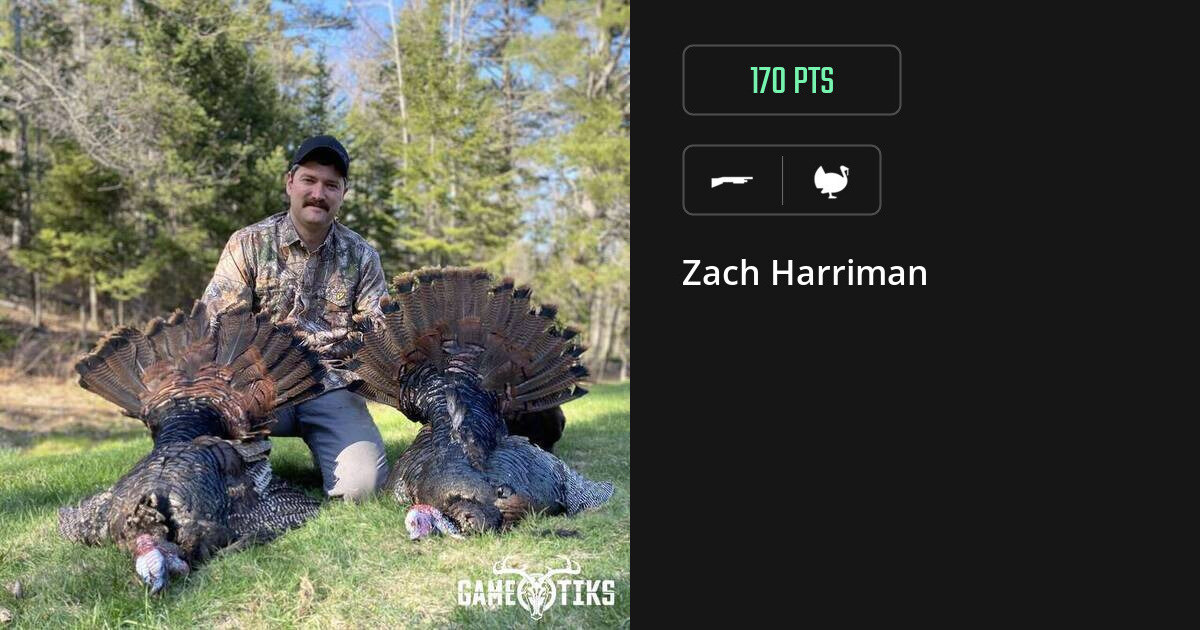 turkey harvest by Zach Harriman