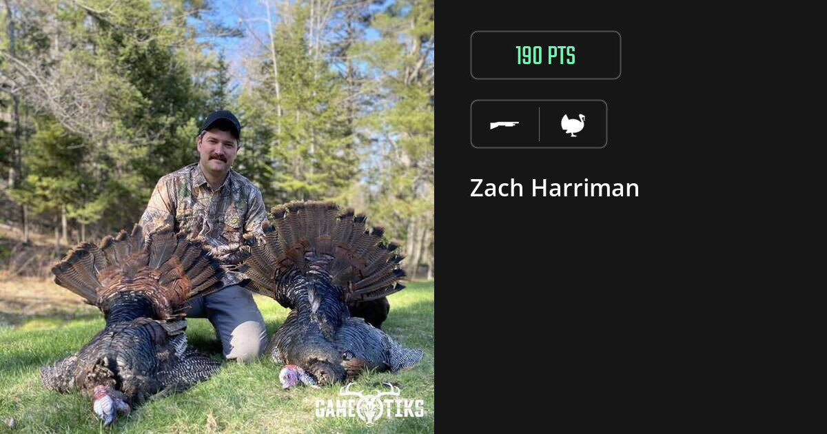turkey harvest by Zach Harriman