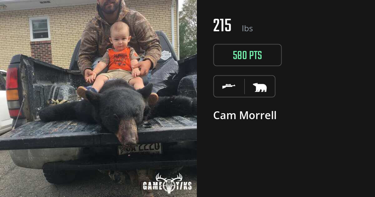 bear harvest by Cam Morrell
