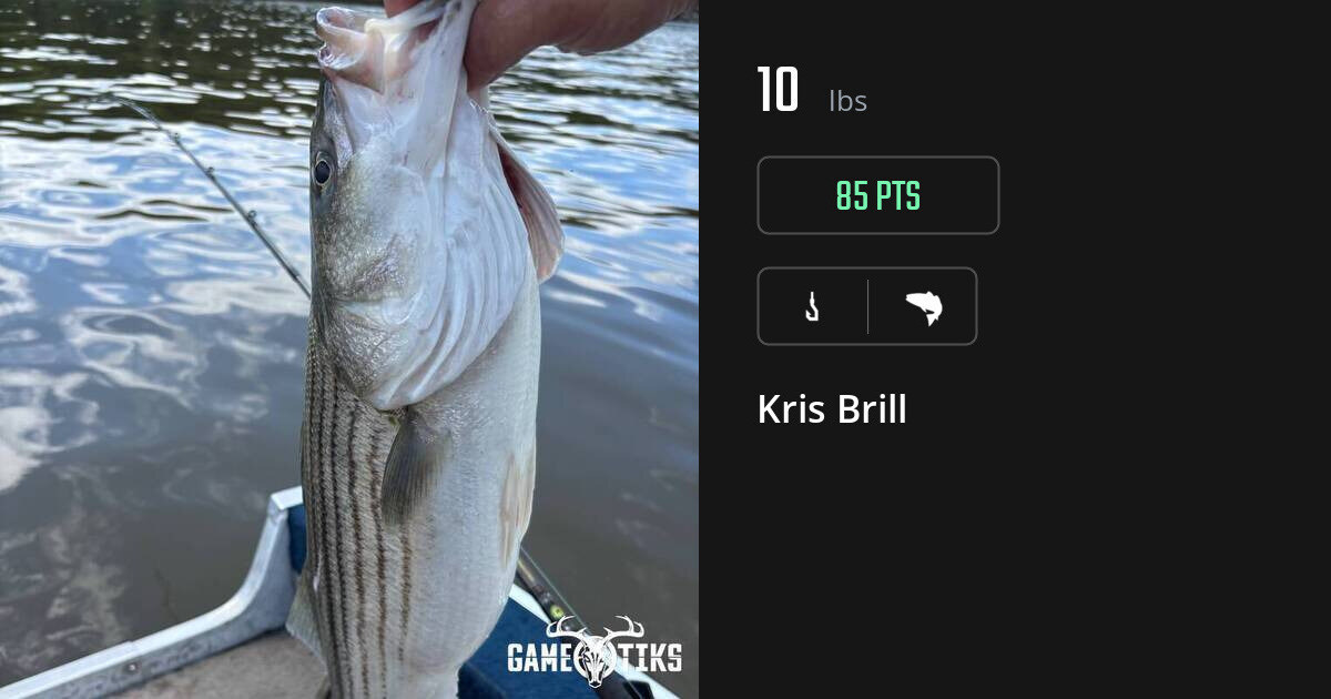 saltwater_fish harvest by Kris Brill