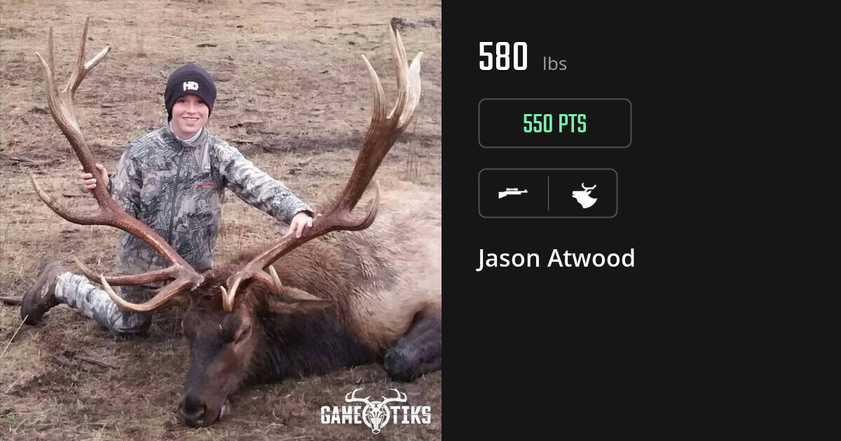 Elk harvest on Gametiks