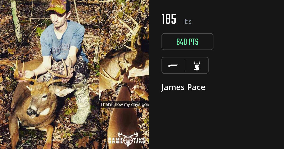 Deer harvest on Gametiks
