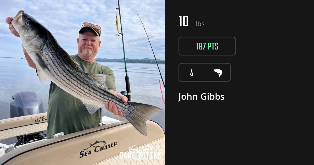 saltwater_fish harvest by John Gibbs
