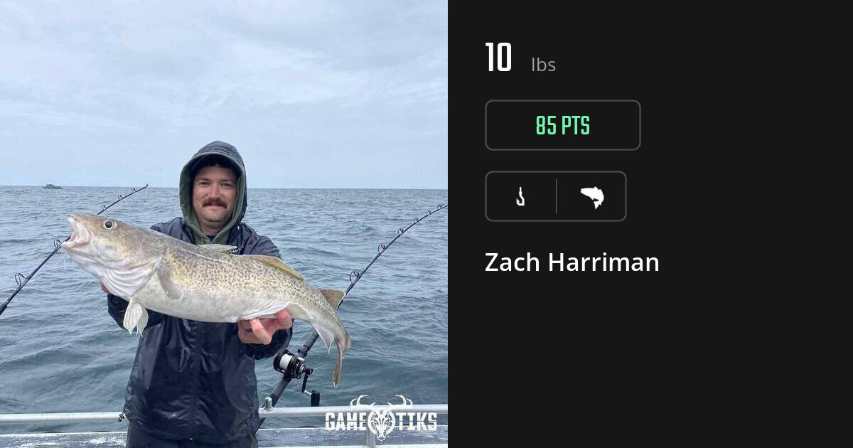 saltwater_fish harvest by Zach Harriman