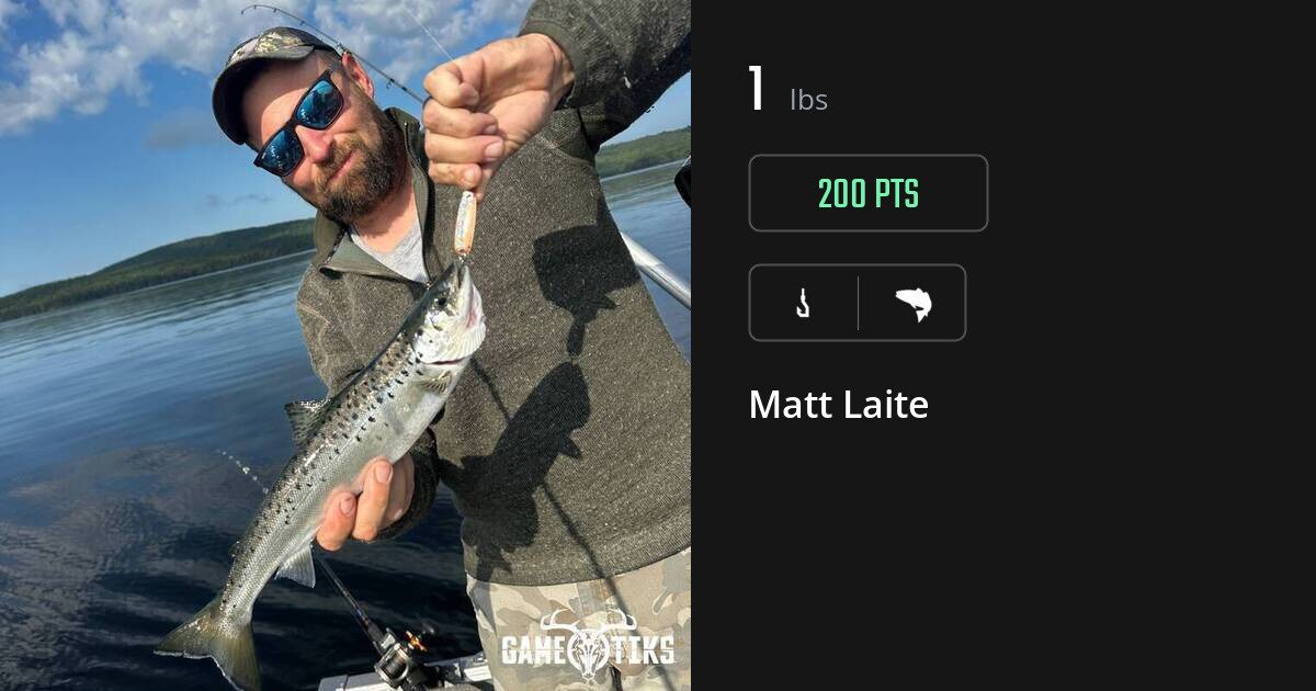 saltwater_fish harvest by Matt Laite