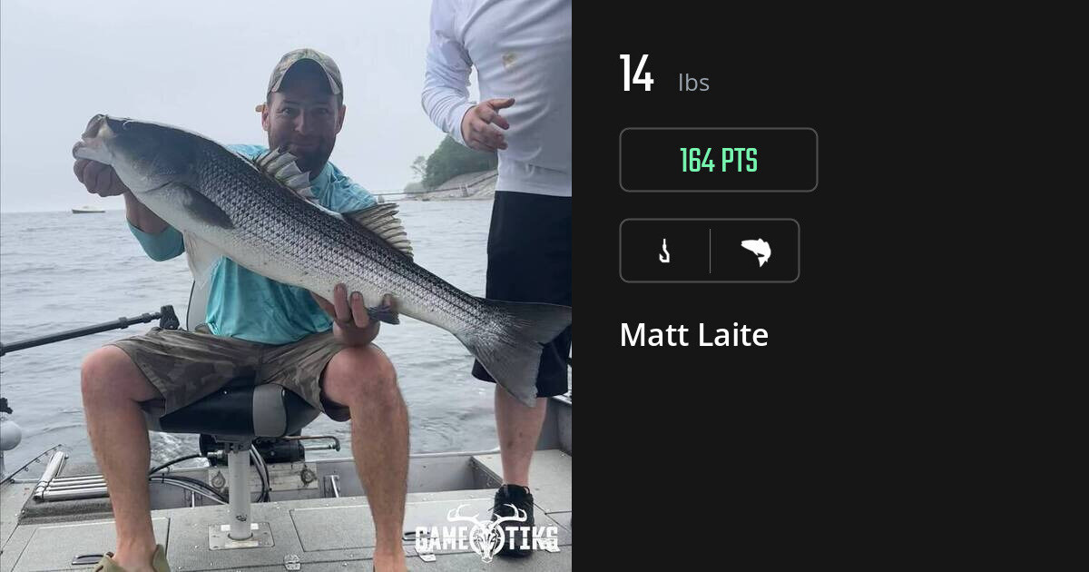 saltwater_fish harvest by Matt Laite