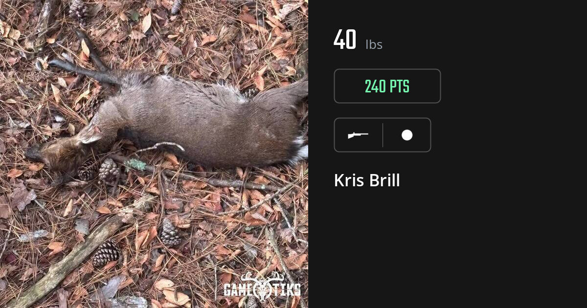 miscellaneous harvest by Kris Brill
