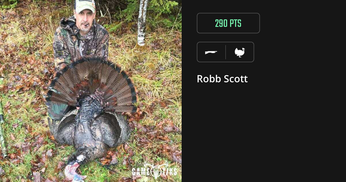 Turkey harvest on Gametiks