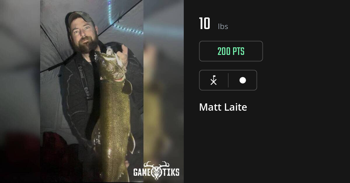 miscellaneous harvest by Matt Laite