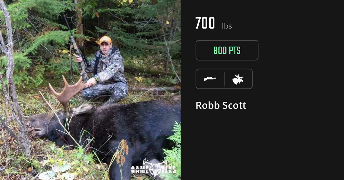 Moose harvest on Gametiks