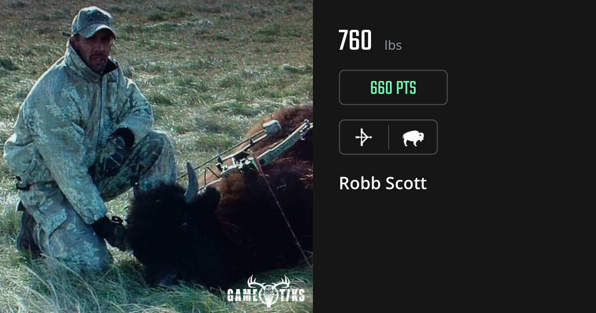 Buffalo harvest on Gametiks